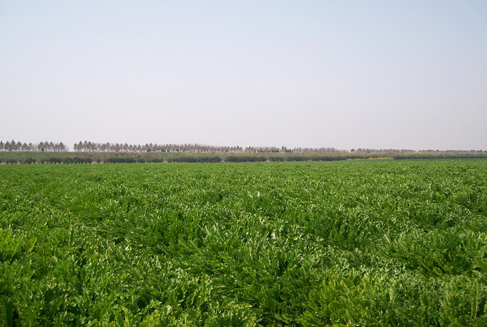 公司基地實景1.jpg